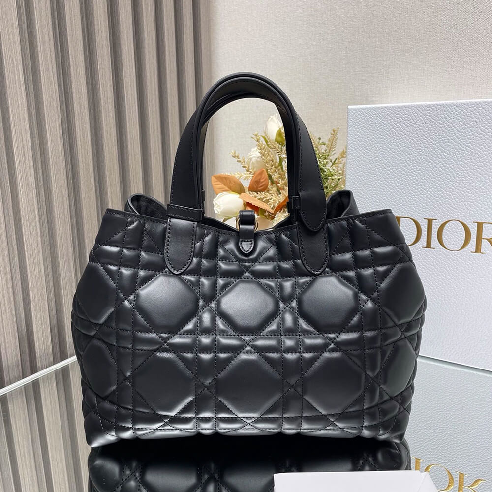 medium D*or toujours bag(high-end grade)