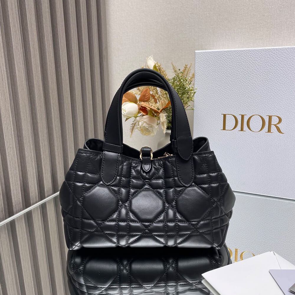 small D*or toujours bag(high-end grade)
