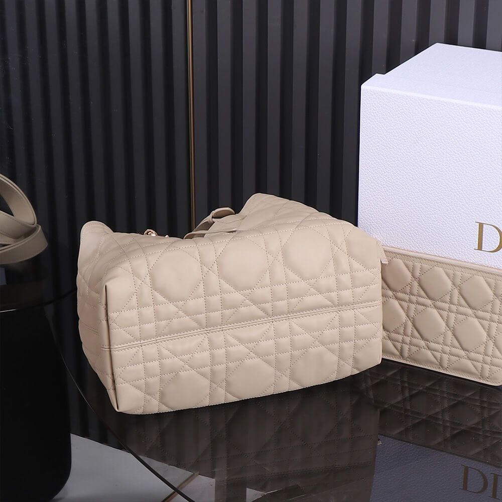 medium D*or toujours bag(high-end grade)