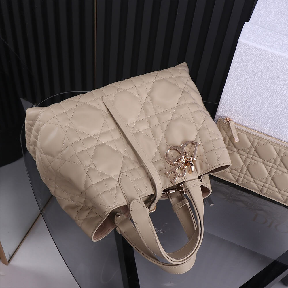 medium D*or toujours bag(high-end grade)