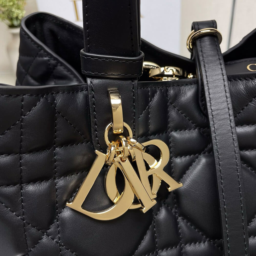 medium D*or toujours bag(high-end grade)