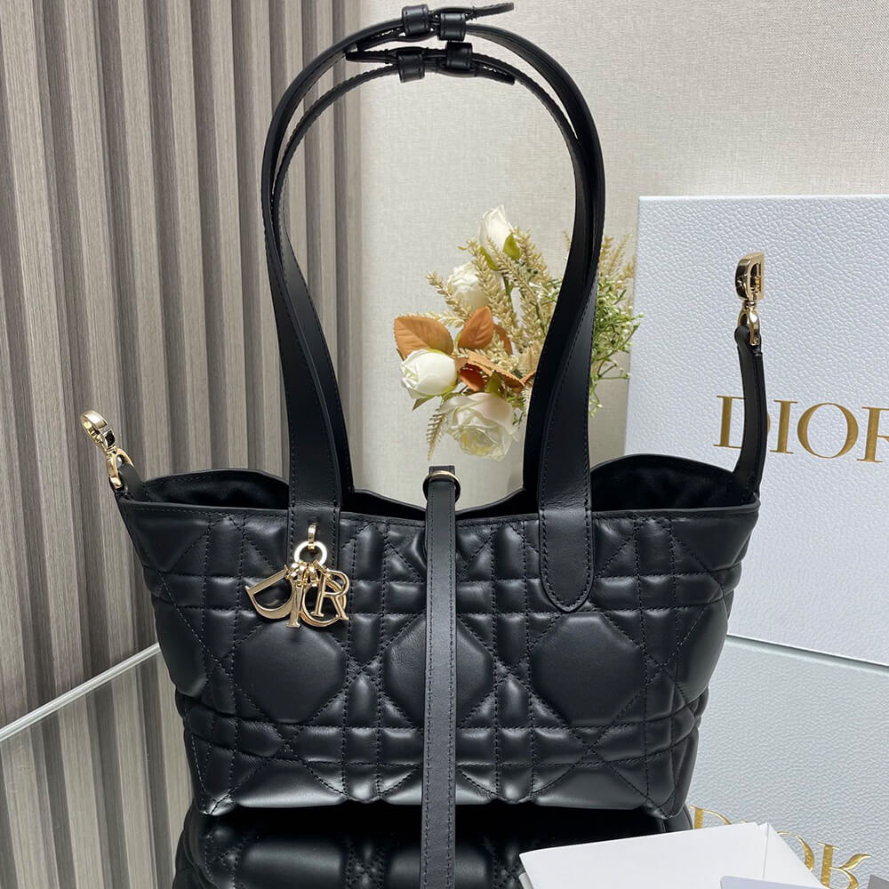 small D*or toujours bag(high-end grade)