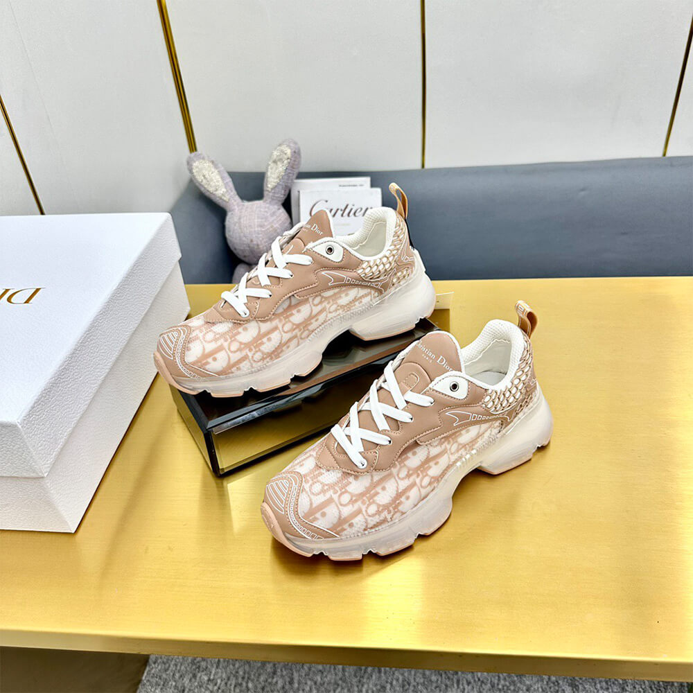 ch**an D*or vibe sneaker