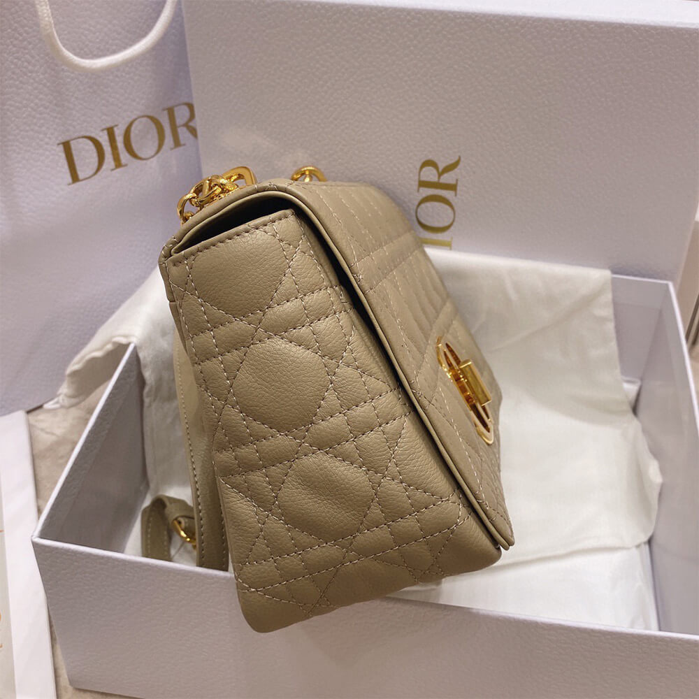 medium D*or caro bag(high-end grade)