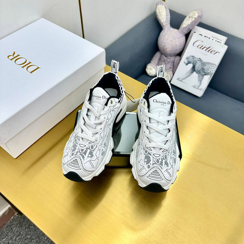 ch**an D*or vibe sneaker