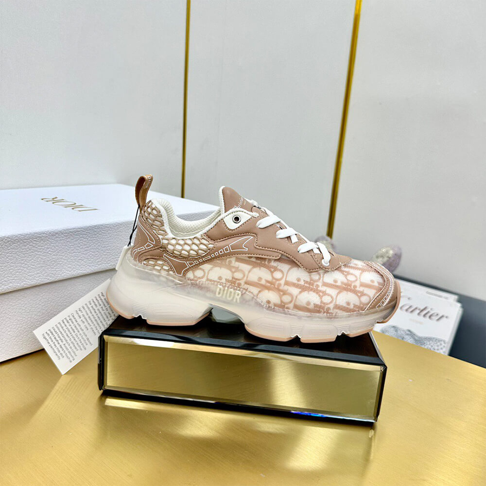 ch**an D*or vibe sneaker