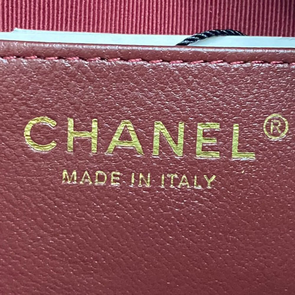 Ch*el mini camera case