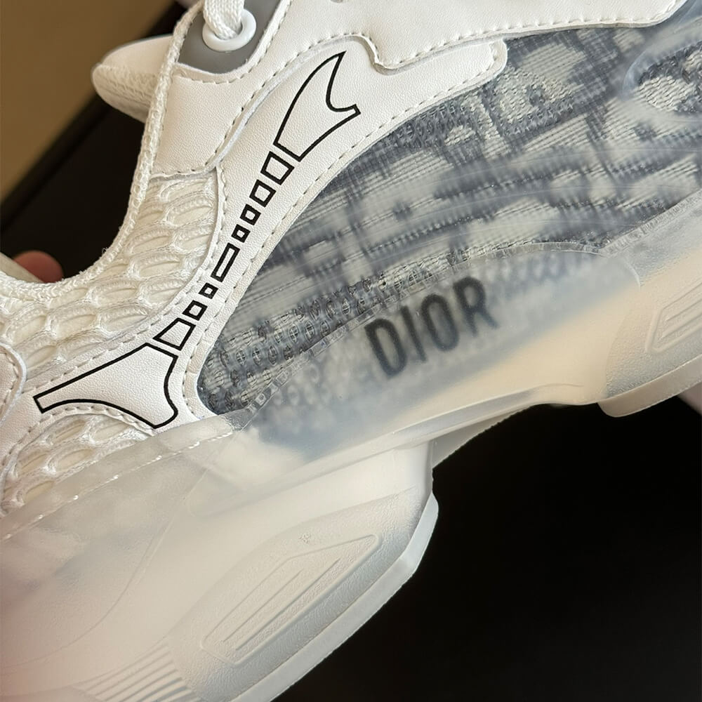 ch**an D*or vibe sneaker