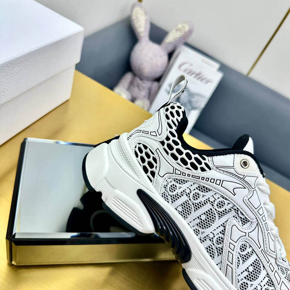 ch**an D*or vibe sneaker