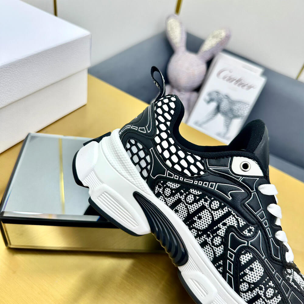 ch**an D*or vibe sneaker